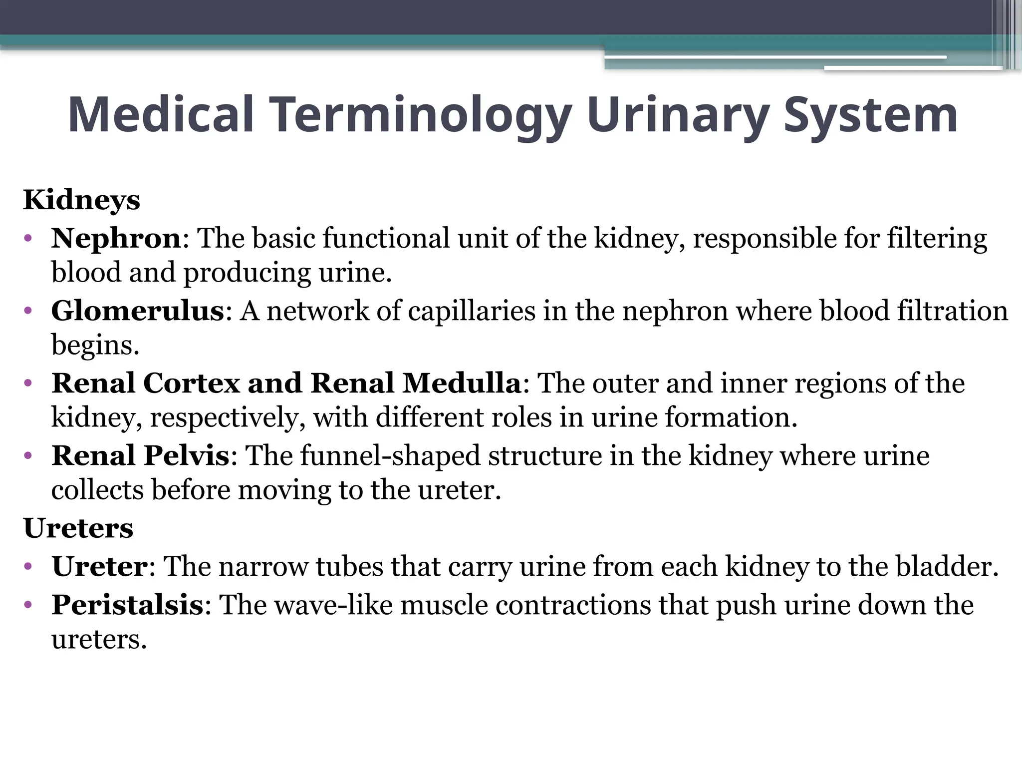 Medical Terminology Urinary System-1.pptx