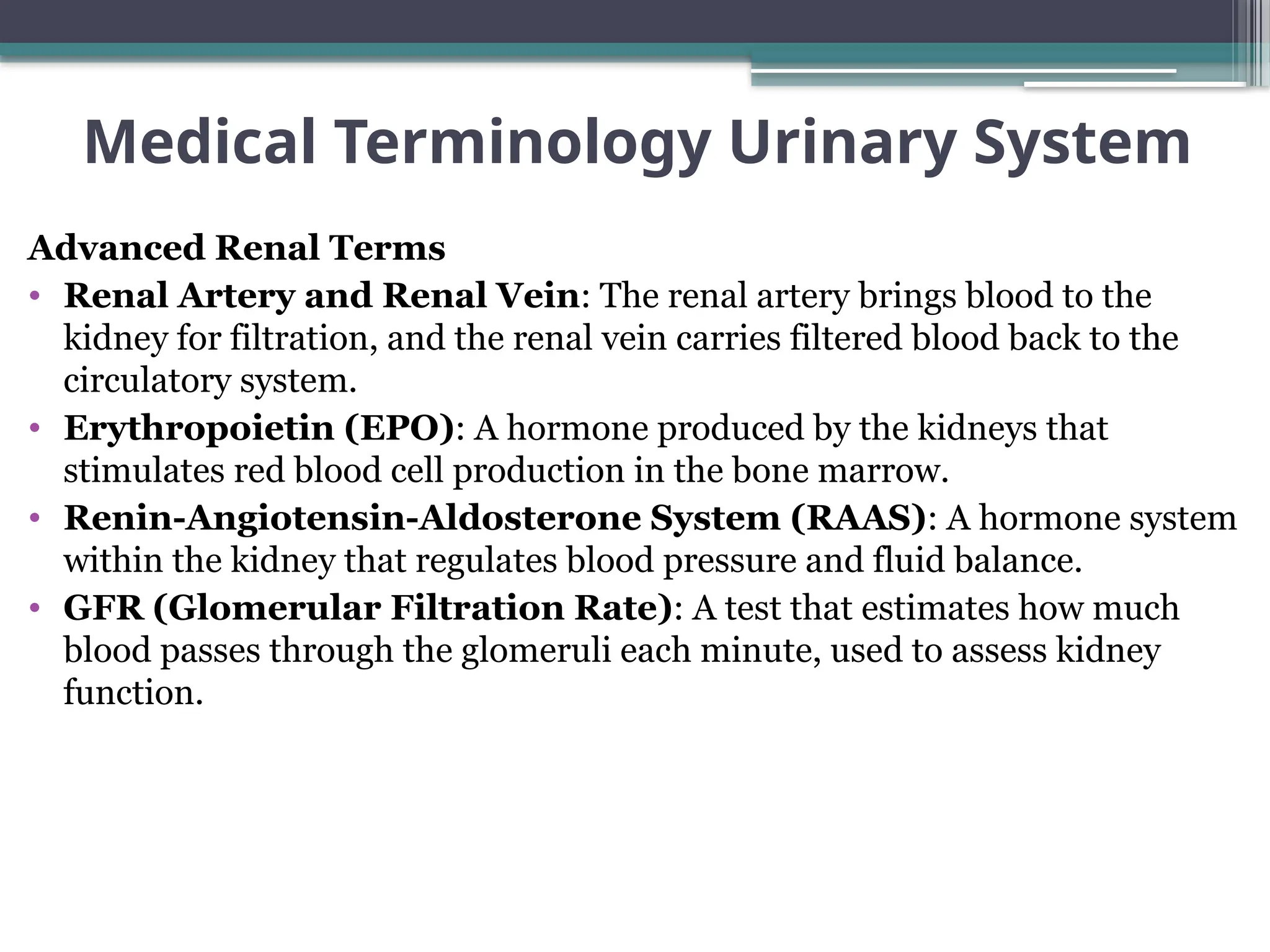 Medical Terminology Urinary System-1.pptx