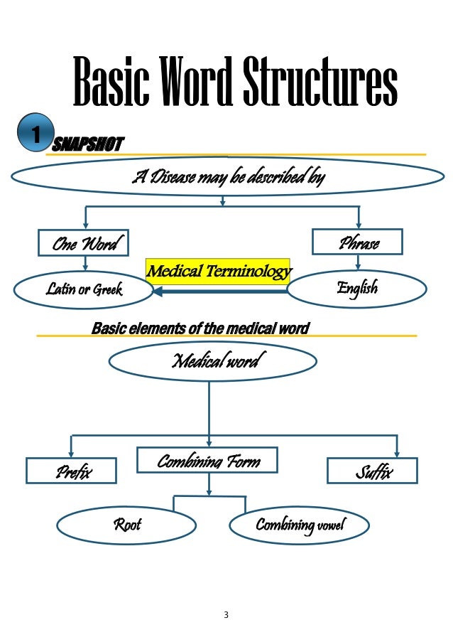 diarrhea medical terminology breakdown