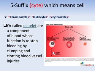 5-Suffix (cyte) which means cell
 “Thrombocytes”+”leukocytes”+”erythrocytes”
Or called platelet are
a component
of blood whose
function is to stop
bleeding by
clumping and
clotting blood vessel
injuries
 