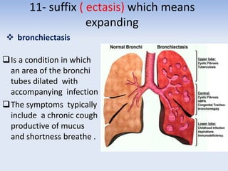 11- suffix ( ectasis) which means
expanding
 bronchiectasis
Is a condition in which
an area of the bronchi
tubes dilated with
accompanying infection
The symptoms typically
include a chronic cough
productive of mucus
and shortness breathe .
 