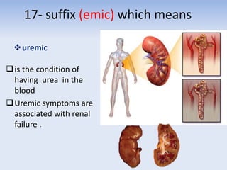 17- suffix (emic) which means
uremic
is the condition of
having urea in the
blood
Uremic symptoms are
associated with renal
failure .
 