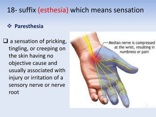 18- suffix (esthesia) which means sensation
 Paresthesia
 a sensation of pricking,
tingling, or creeping on
the skin having no
objective cause and
usually associated with
injury or irritation of a
sensory nerve or nerve
root
 