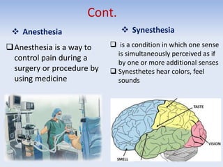 Cont.
 Anesthesia
Anesthesia is a way to
control pain during a
surgery or procedure by
using medicine
 Synesthesia
 is a condition in which one sense
is simultaneously perceived as if
by one or more additional senses
 Synesthetes hear colors, feel
sounds
 
