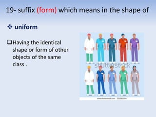 19- suffix (form) which means in the shape of
 uniform
Having the identical
shape or form of other
objects of the same
class .
 