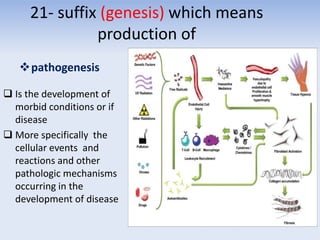 21- suffix (genesis) which means
production of
pathogenesis
 Is the development of
morbid conditions or if
disease
 More specifically the
cellular events and
reactions and other
pathologic mechanisms
occurring in the
development of disease
 