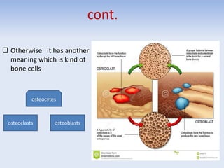 cont.
 Otherwise it has another
meaning which is kind of
bone cells
osteocytes
osteoblastsosteoclasts
 