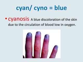 cyan/ cyno = blue
•cyanosis A blue discoloration of the skin
due to the circulation of blood low in oxygen.
 