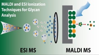 Medical Thesis by Slidesgo Principles and application of Genomics and ...