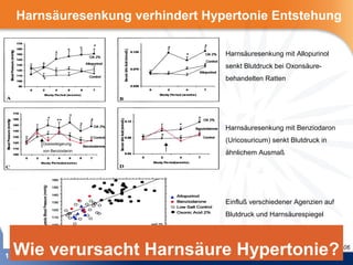 Harnsäuresenkung verhindert Hypertonie Entstehung

                                Harnsäuresenkung mit Allopurinol
                                senkt Blutdruck bei Oxonsäure-
                                behandelten Ratten




                                Harnsäuresenkung mit Benziodaron

     Dosissteigerung
                                (Uricosuricum) senkt Blutdruck in
     von Benziodaron
                                ähnlichem Ausmaß




                                Einfluß verschiedener Agenzien auf
                                Blutdruck und Harnsäurespiegel




15Wie verursacht Harnsäure Hypertonie?
                               Mazzali M et al. Hypertension 2001;38:1101-1106
 