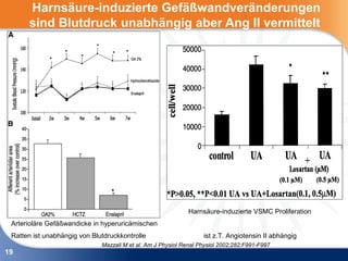 Harnsäure-induzierte Gefäßwandveränderungen
      sind Blutdruck unabhängig aber Ang II vermittelt




                                                             Harnsäure-induzierte VSMC Proliferation
 Arterioläre Gefäßwandicke in hyperuricämischen
 Ratten ist unabhängig von Blutdruckkontrolle                      ist z.T. Angiotensin II abhängig
                              Mazzali M et al. Am J Physiol Renal Physiol 2002;282:F991-F997
19
 