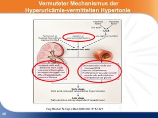 Vermuteter Mechanismus der
     Hyperuricämie-vermittelten Hypertonie




            Feig DI et al. N Engl J Med 2008;359:1811-1821.
20
 