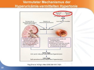 Vermuteter Mechanismus der
     Hyperuricämie-vermittelten Hypertonie




            Feig DI et al. N Engl J Med 2008;359:1811-1821.
22
 