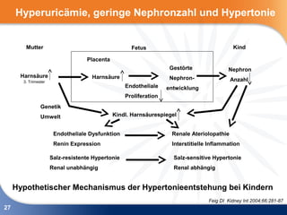Hyperuricämie, geringe Nephronzahl und Hypertonie


        Mutter                                       Fetus                                   Kind

                                   Placenta
                                                                    Gestörte              Nephron
      Harnsäure                      Harnsäure                      Nephron-
       3. Trimester                                                                         Anzahl
                                                   Endotheliale    entwicklung
                                                   Proliferation
                Genetik
                Umwelt                        Kindl. Harnsäurespiegel


                       Endotheliale Dysfunktion                     Renale Ateriolopathie
                       Renin Expression                             Interstitielle Inflammation

                      Salz-resistente Hypertonie                     Salz-sensitive Hypertonie
                      Renal unabhängig                               Renal abhängig


     Hypothetischer Mechanismus der Hypertonieentstehung bei Kindern
                                                                                  Feig DI Kidney Int 2004;66:281-87
27
 