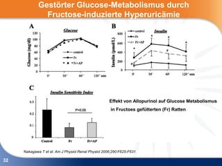 Gestörter Glucose-Metabolismus durch
               Fructose-induzierte Hyperuricämie




                                                     Effekt von Allopurinol auf Glucose Metabolismus
                                                     in Fructoes gefütterten (Fr) Ratten




     Nakagawa T et al. Am J Physiol Renal Physiol 2006;290:F625-F631

32
 