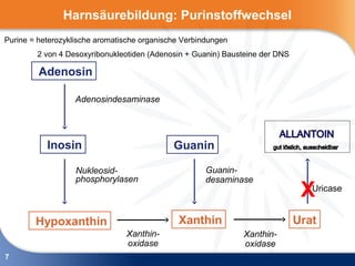 Harnsäurebildung: Purinstoffwechsel
Purine = heterozyklische aromatische organische Verbindungen
        2 von 4 Desoxyribonukleotiden (Adenosin + Guanin) Bausteine der DNS

         Adenosin

                   Adenosindesaminase




           Inosin                            Guanin

                   Nukleosid-                         Guanin-
                   phosphorylasen                     desaminase
                                                                               XUricase
        Hypoxanthin                           Xanthin                         Urat
                                Xanthin-                       Xanthin-
                                oxidase                        oxidase
7
 