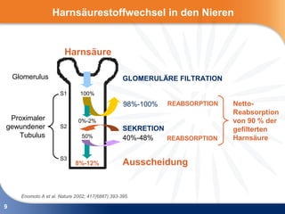 Harnsäurestoffwechsel in den Nieren


                         Harnsäure

    Glomerulus                                     GLOMERULÄRE FILTRATION

                       S1       100%

                                                   98%-100%   REABSORPTION   Netto-
                                                                             Reabsorption
 Proximaler                    0%-2%                                         von 90 % der
gewundener             S2                          SEKRETION                 gefilterten
   Tubulus                       50%               40%-48%   REABSORPTION    Harnsäure

                       S3
                              8%-12%               Ausscheidung


      Enomoto A et al. Nature 2002; 417(6887):393-395.

9
 