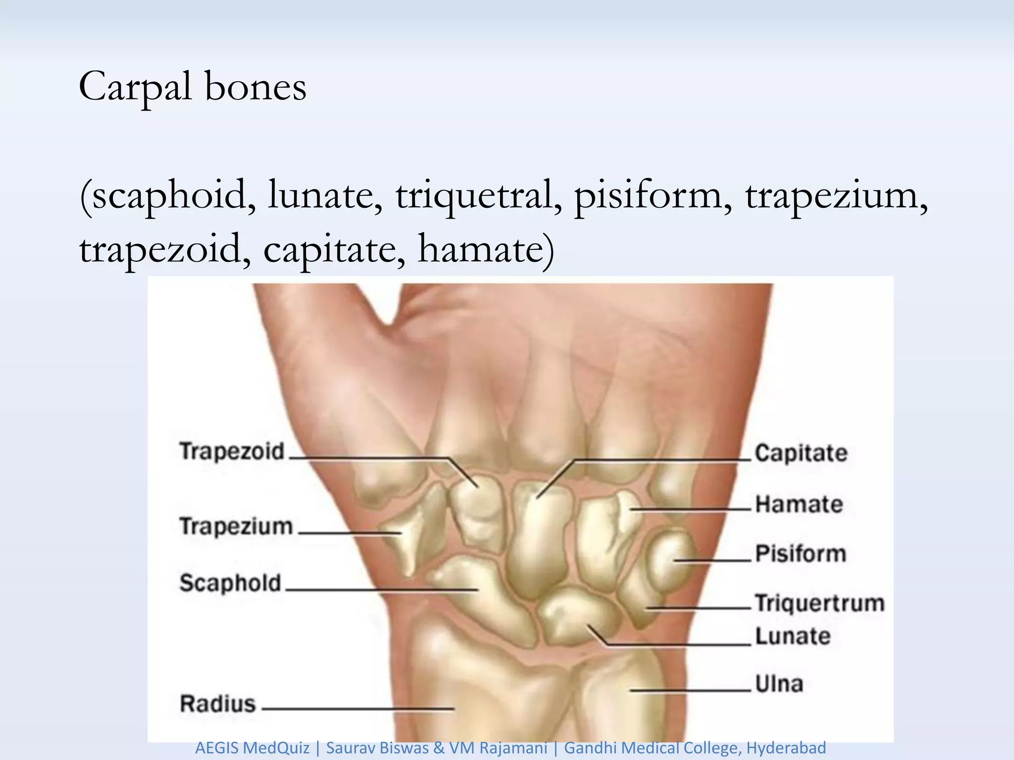 Carpal bones
(scaphoid, lunate, triquetral, pisiform, trapezium,
trapezoid, capitate, hamate)
AEGIS MedQuiz | Saurav Biswas & VM Rajamani | Gandhi Medical College, Hyderabad
 