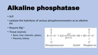 Medical use of enzymes | PPTX