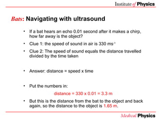 Bats :   Navigating with ultrasound <ul><li>If a bat hears an echo  0.01  second after it makes a chirp, how far away is t...