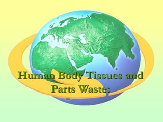 Human Body Tissues and
    Parts Waste:
 