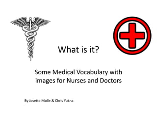 What is it?
Some Medical Vocabulary with
images for Nurses and Doctors
By Josette Molle & Chris Yukna
 