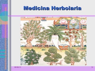 08/08/13 31
Medicina HerbolariaMedicina Herbolaria
 