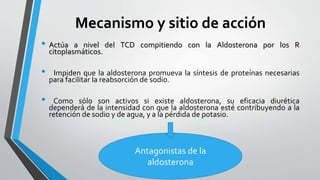 Mecanismo y sitio de acción
• Actúa a nivel del TCD compitiendo con la Aldosterona por los R
citoplasmáticos.
• Impiden que la aldosterona promueva la síntesis de proteínas necesarias
para facilitar la reabsorción de sodio.
• Como sólo son activos si existe aldosterona, su eficacia diurética
dependerá de la intensidad con que la aldosterona esté contribuyendo a la
retención de sodio y de agua, y a la pérdida de potasio.
Antagonistas de la
aldosterona
 
