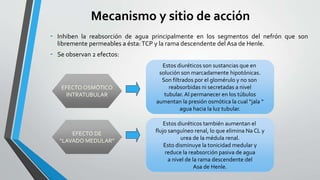 Mecanismo y sitio de acción
- Inhiben la reabsorción de agua principalmente en los segmentos del nefrón que son
libremente permeables a ésta:TCP y la rama descendente del Asa de Henle.
- Se observan 2 efectos:
Estos diuréticos son sustancias que en
solución son marcadamente hipotónicas.
Son filtrados por el glomérulo y no son
reabsorbidas ni secretadas a nivel
tubular. Al permanecer en los túbulos
aumentan la presión osmótica la cual “jala “
agua hacia la luz tubular.
Estos diuréticos también aumentan el
flujo sanguíneo renal, lo que elimina Na CL y
urea de la médula renal.
Esto disminuye la tonicidad medular y
reduce la reabsorción pasiva de agua
a nivel de la rama descendente del
Asa de Henle.
EFECTO OSMÓTICO
INTRATUBULAR
EFECTO DE
“LAVADO MEDULAR”
 