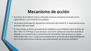 Mecanismo de acción
• Aumento de la relación fuerza velocidad, tanto en corazones normales como
hipertróficos y con insuficiencia cardíaca.
• Se produce prolongación del período refractario del nódulo A-V, especialmente por
aumento del tono vagal.
• A nivel celular, el efecto principal de los digitálicos es la inhibición de la "bomba de
Na+" (Na+-K+ ATPasa), lo que produce una menor salida activa de Na+ durante el
diástole y un aumento de su concentración intracelular. Esto produce un mayor
intercambio Na+-Ca++, lo que se acompaña de un aumento de la disponibilidad de
Ca++ en la unión actino-miosina y secundariamente, de la fuerza contráctil.
 