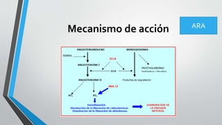 Mecanismo de acción ARA
 