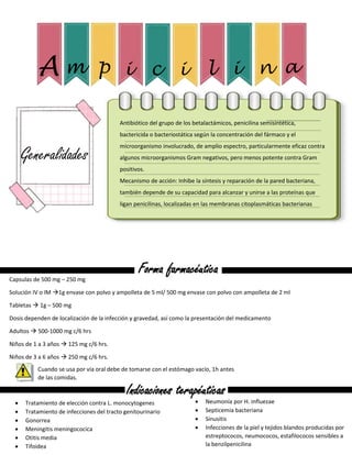  Neumonía por H. influezae
 Septicemia bacteriana
 Sinusitis
 Infecciones de la piel y tejidos blandos producidas por
estreptococos, neumococos, estafilococos sensibles a
la benzilpenicilina
A m p i c i l i n a
Generalidades
Antibiótico del grupo de los betalactámicos, penicilina semisintética,
bactericida o bacteriostática según la concentración del fármaco y el
microorganismo involucrado, de amplio espectro, particularmente eficaz contra
algunos microorganismos Gram negativos, pero menos potente contra Gram
positivos.
Mecanismo de acción: Inhibe la síntesis y reparación de la pared bacteriana,
también depende de su capacidad para alcanzar y unirse a las proteínas que
ligan penicilinas, localizadas en las membranas citoplasmáticas bacterianas
Forma farmacéutica
Capsulas de 500 mg – 250 mg
Solución IV o IM 1g envase con polvo y ampolleta de 5 ml/ 500 mg envase con polvo con ampolleta de 2 ml
Tabletas  1g – 500 mg
Dosis dependen de localización de la infección y gravedad, así como la presentación del medicamento
Adultos  500-1000 mg c/6 hrs
Niños de 1 a 3 años  125 mg c/6 hrs.
Niños de 3 a 6 años  250 mg c/6 hrs.
Indicaciones terapéuticas
 Tratamiento de elección contra L. monocytogenes
 Tratamiento de infecciones del tracto genitourinario
 Gonorrea
 Meningitis meningococica
 Otitis media
 Tifoidea
Cuando se usa por vía oral debe de tomarse con el estómago vacío, 1h antes
de las comidas,
 