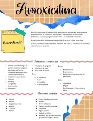Amoxicilina
Antibiótico del grupo de las penicilinas semisintéticas, sensible a la penicilinasa, de
amplio espectro, es bactericida, indicado para el tratamiento de infecciones
bacterianas, causadas por gérmenes sensibles a la acción de la amoxicilina.
Actúa inhibiendo la biositesis de mucopeptido de la pared celular bacteriana.
Guarda parentesco con la ampicilina, absorción más rápida y completa y los alimentos
no interfieren su absorción
Indicaciones terapéuticas
 Profilaxis en odontología en
pacientes con Valvulopatias
cardiacas, que han de
someterse a intervenciones
amplias de cirugía oral.
 Infecciones respiratorias:
 Sinusitis
 Farigitis
 Amigdalitis
 Otitis media
 Neumonía
 Bronquitis
 Infecciones de orina
 Infecciones de garganta
 Infecciones de nariz
 Infecciones de la piel
Gram –
 H. influenzae
 E. coli
 P. mirabilis
 N. gonorrhoeae
Reacciones adversas
 Diarrea
 Nausea
 Erupción cutánea
 Vomito
 Urticaria
 Picazón
Gram +
 Estreptococos
 D. pneumonae
 Estafilicocos no productores de
penicilinasa
Otros
 Salmonella
 Shigella
 Combinada para Enfermedad de
Lyme
 Colitis pseudomembranosa
 Anemia
 Trombocitopenia
 Purpura trombocitopenica
 Eosinofilia
 Agranulositosis
 Nudosis periférica
 Aumento leve de transaminasas
glutamicooxalacética (SGTO)

 