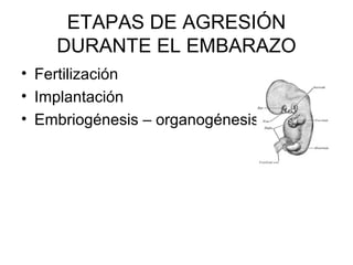 ETAPAS DE AGRESIÓN
DURANTE EL EMBARAZO
• Fertilización
• Implantación
• Embriogénesis – organogénesis
 