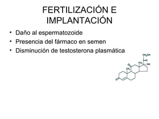 FERTILIZACIÓN E
IMPLANTACIÓN
• Daño al espermatozoide
• Presencia del fármaco en semen
• Disminución de testosterona plasmática
 