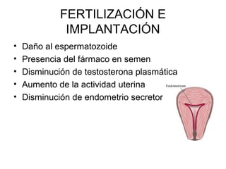FERTILIZACIÓN E
IMPLANTACIÓN
• Daño al espermatozoide
• Presencia del fármaco en semen
• Disminución de testosterona plasmática
• Aumento de la actividad uterina
• Disminución de endometrio secretor
 