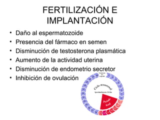FERTILIZACIÓN E
IMPLANTACIÓN
• Daño al espermatozoide
• Presencia del fármaco en semen
• Disminución de testosterona plasmática
• Aumento de la actividad uterina
• Disminución de endometrio secretor
• Inhibición de ovulación
 