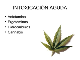 INTOXICACIÓN AGUDA
• Anfetamina
• Ergotaminas
• Hidrocarburos
• Cannabis
 