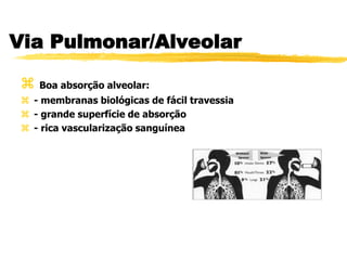 Via Pulmonar/Alveolar
 Boa absorção alveolar:
 - membranas biológicas de fácil travessia
 - grande superfície de absorção
 - rica vascularização sanguínea
 