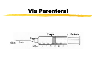 Via Parenteral
Corpo
Bico
Êmbolo
bisel haste
calibre
 