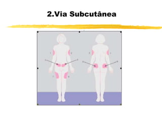 2.Via Subcutânea
 