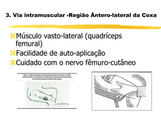 3. Via intramuscular -Região Ântero-lateral da Coxa
Músculo vasto-lateral (quadríceps
femural)
Facilidade de auto-aplicação
Cuidado com o nervo fêmuro-cutâneo
 