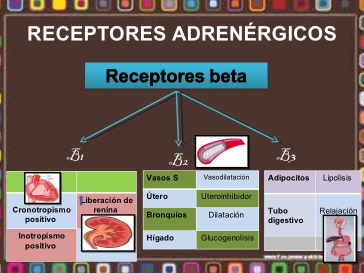 Archivo del blog