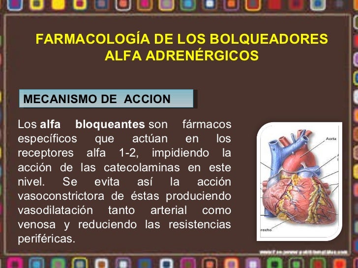 Alfa beta medicamentos - medicamentos beta adrenergicos
