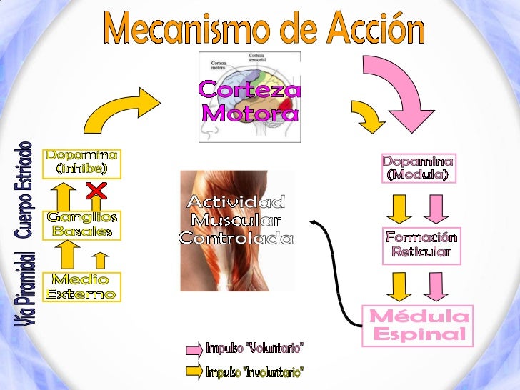 Medicamentos antiparkinsonianos.ppt fármaco mvm