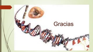 Gracias
 