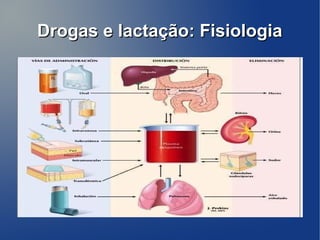 Drogas e lactação: Fisiologia
 