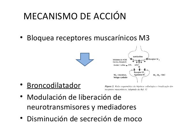 Cetonuria Pdf