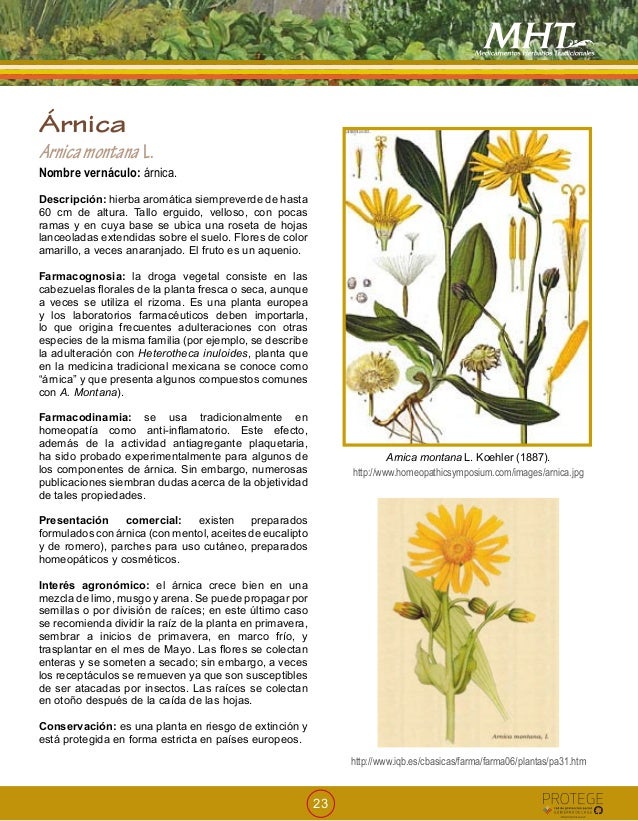 Medicamentos Herbarios Tradicionales Minsal 2009