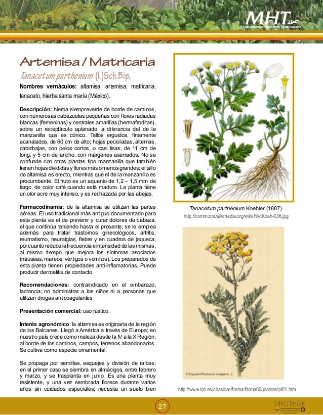 Medicamentos Herbarios Tradicionales Minsal 2009